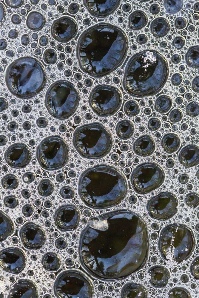 Canada, Quebec Foam caught under ice